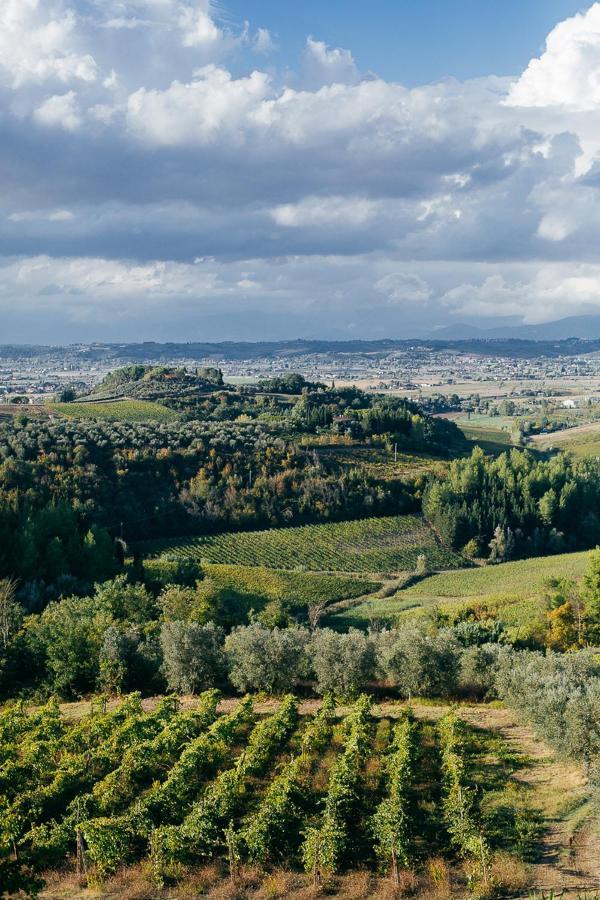 Agriturismo Bellavista San Miniato Extérieur photo